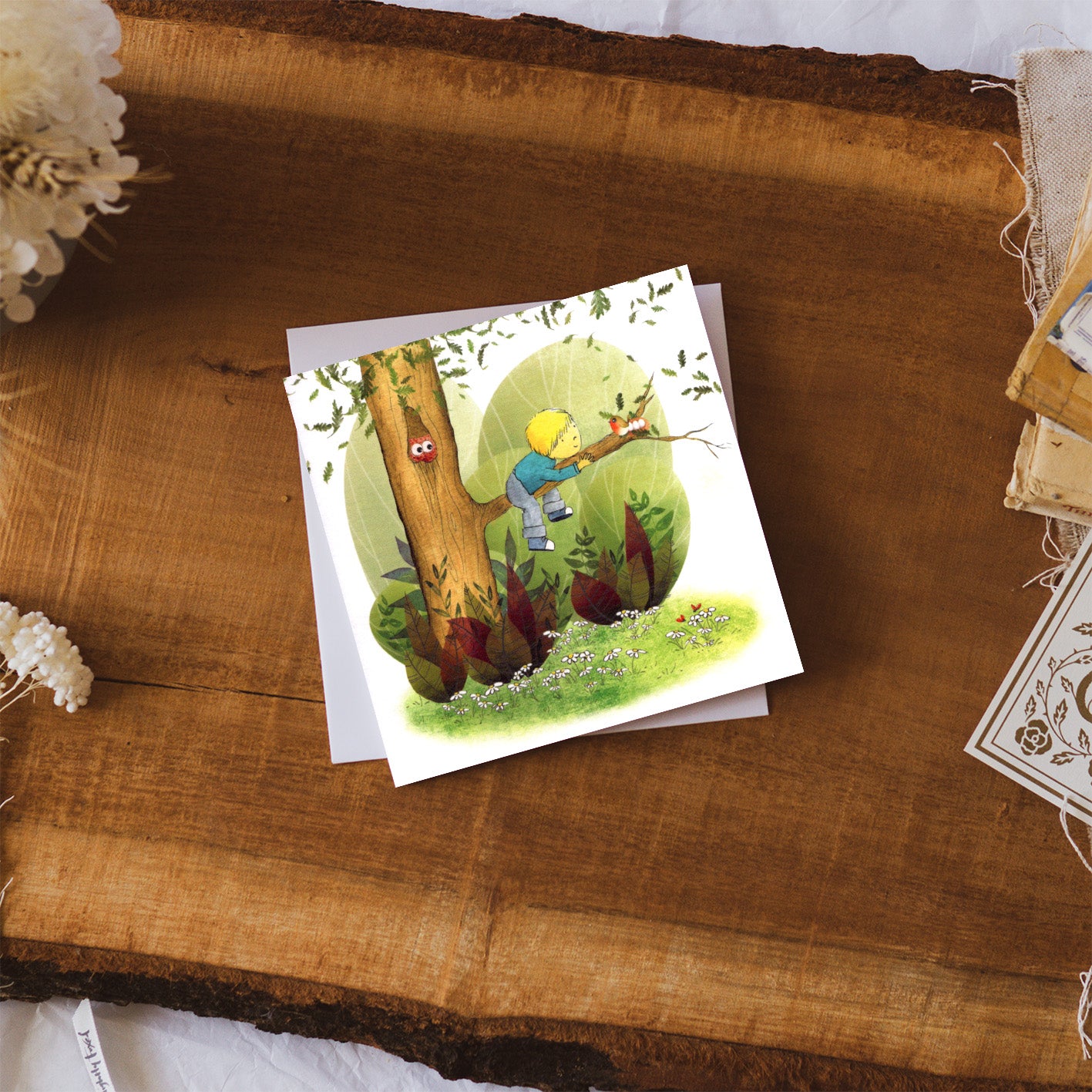 Discover | Treetop Adventure Card