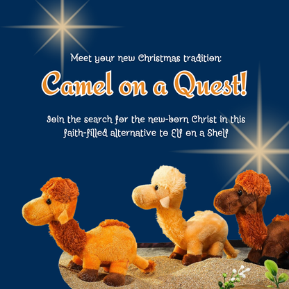 Camel on a Quest | Your New Christmas Tradition!
