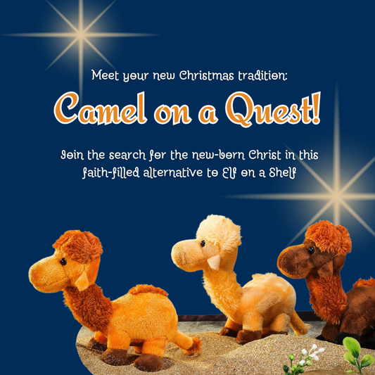 Camel on a Quest | Your New Christmas Tradition!