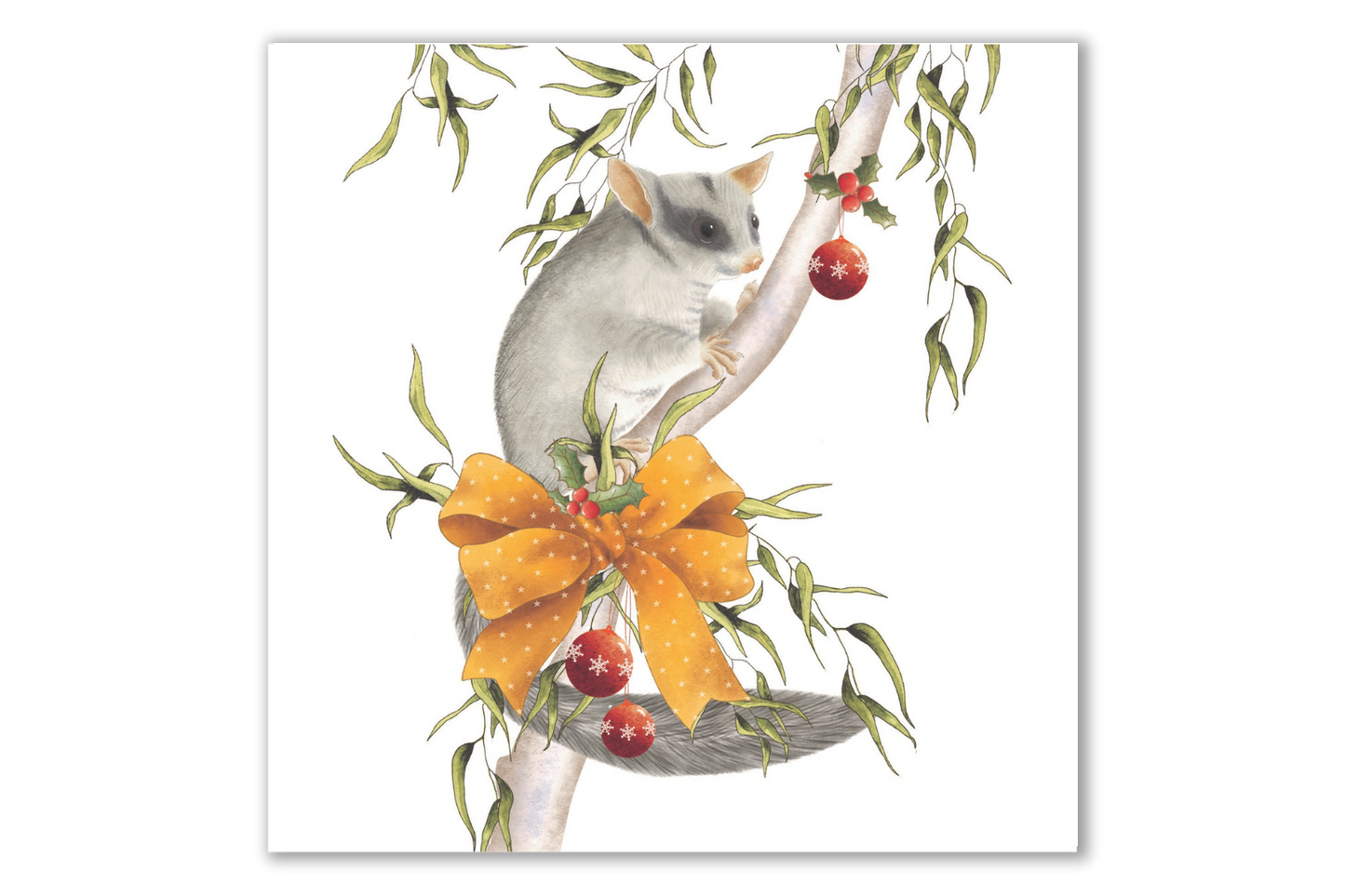 Australiana | Umber Possum Christmas Card